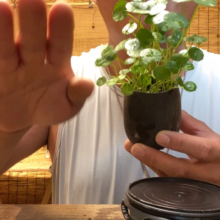 柒****?一物一拍所见即所得285