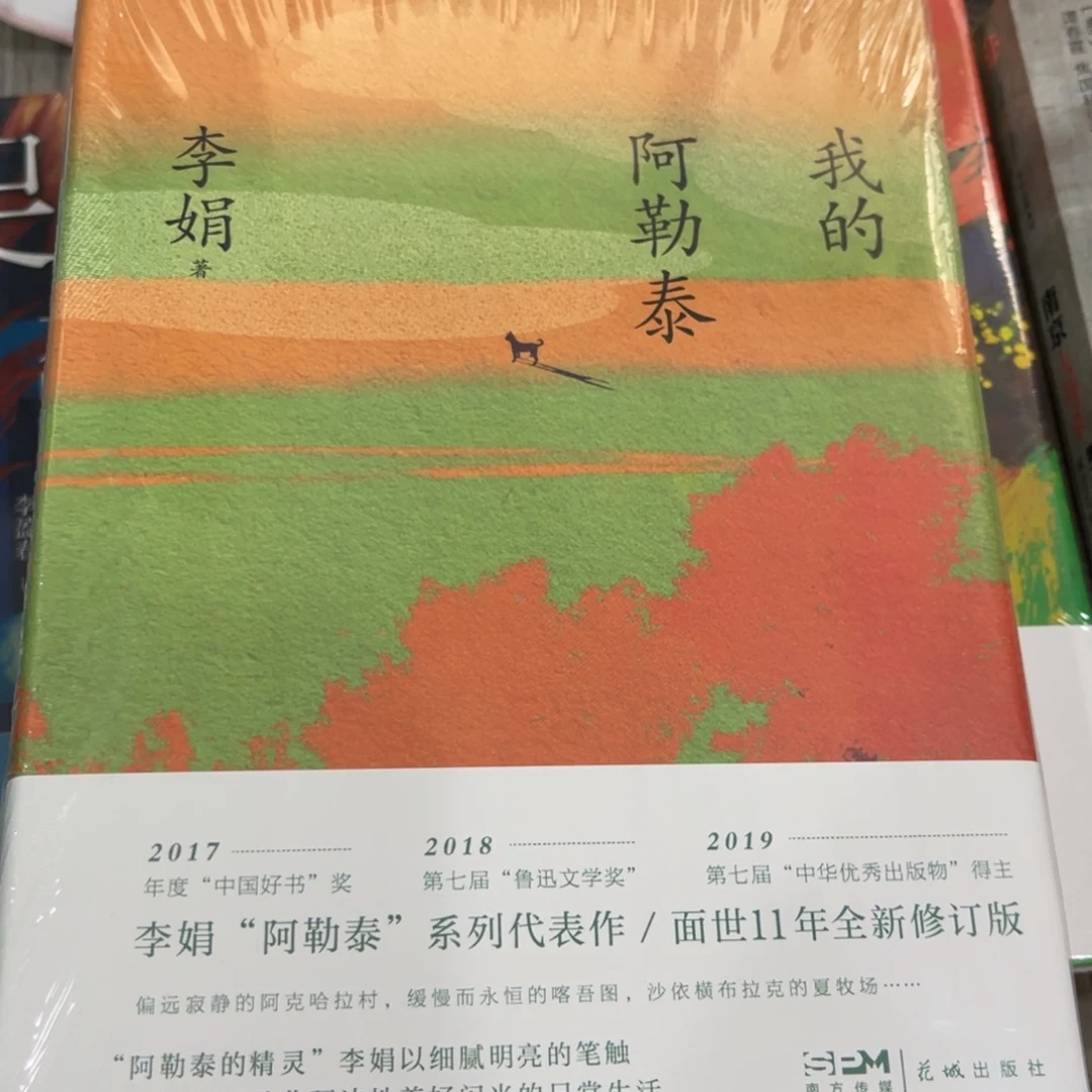 我的阿勒泰忧伤的