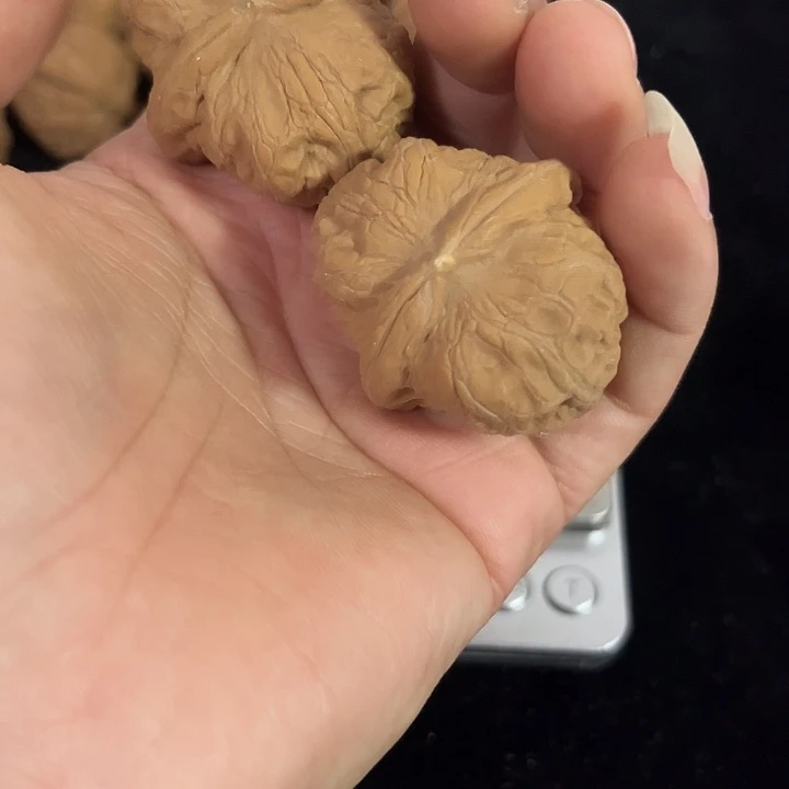 把件文玩核桃边37肚41左右微瑕元宝，编号0008