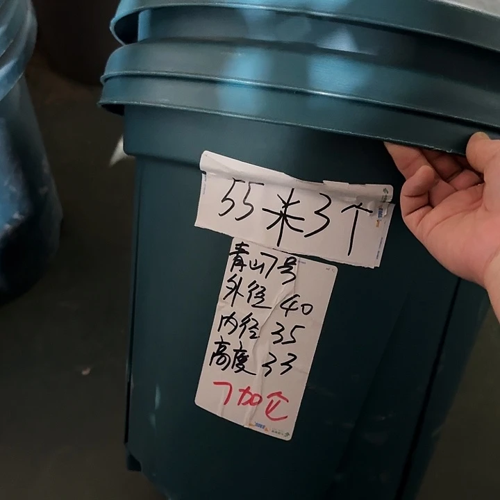青山7#军绿5个无托