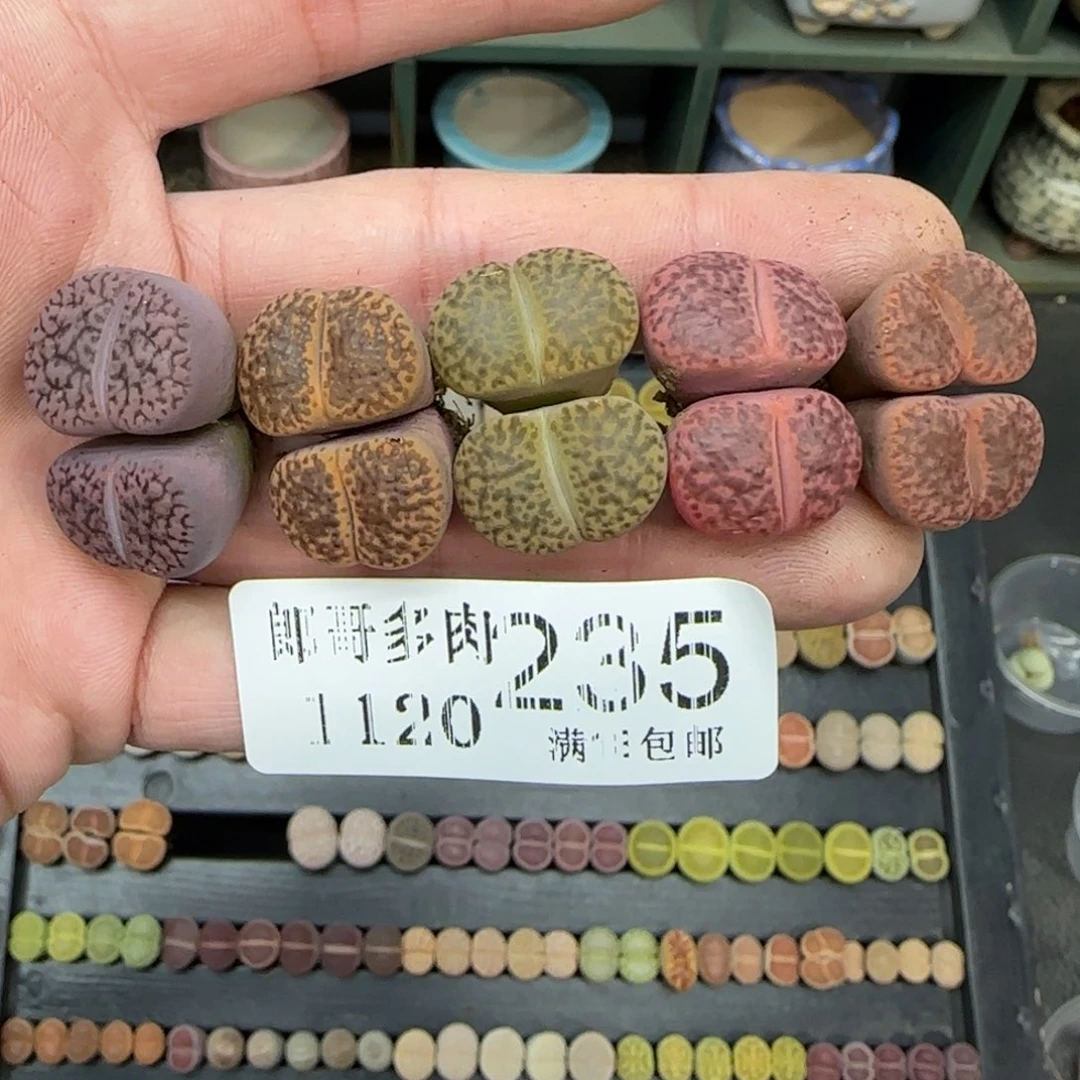 满满18包邮1120-235