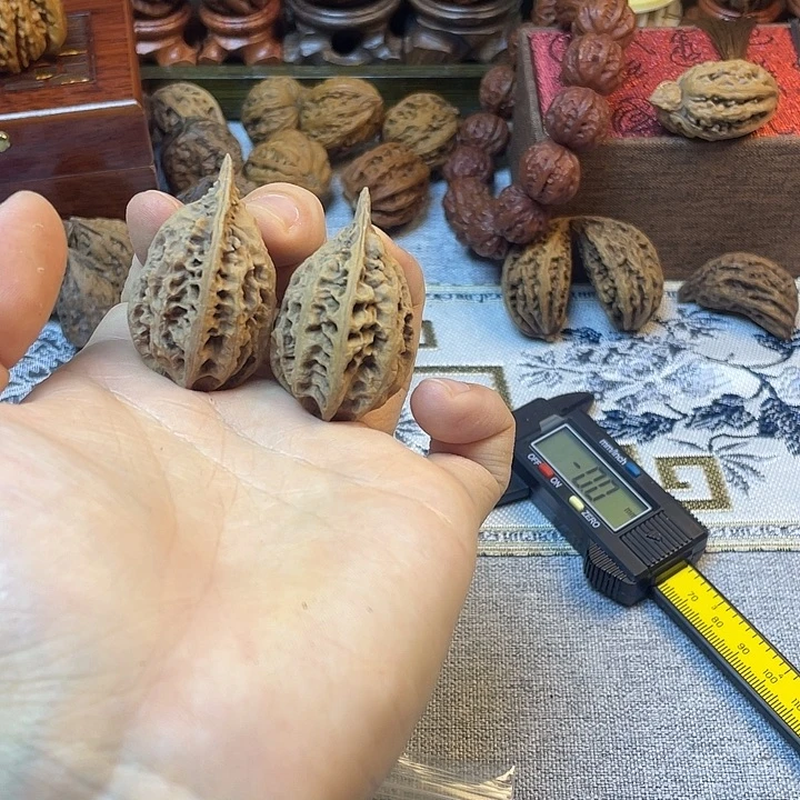 核桃东北楸子高尖龙脊40