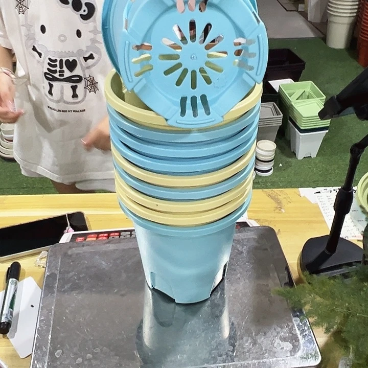 特价圆形控根口15高15混色无托10只