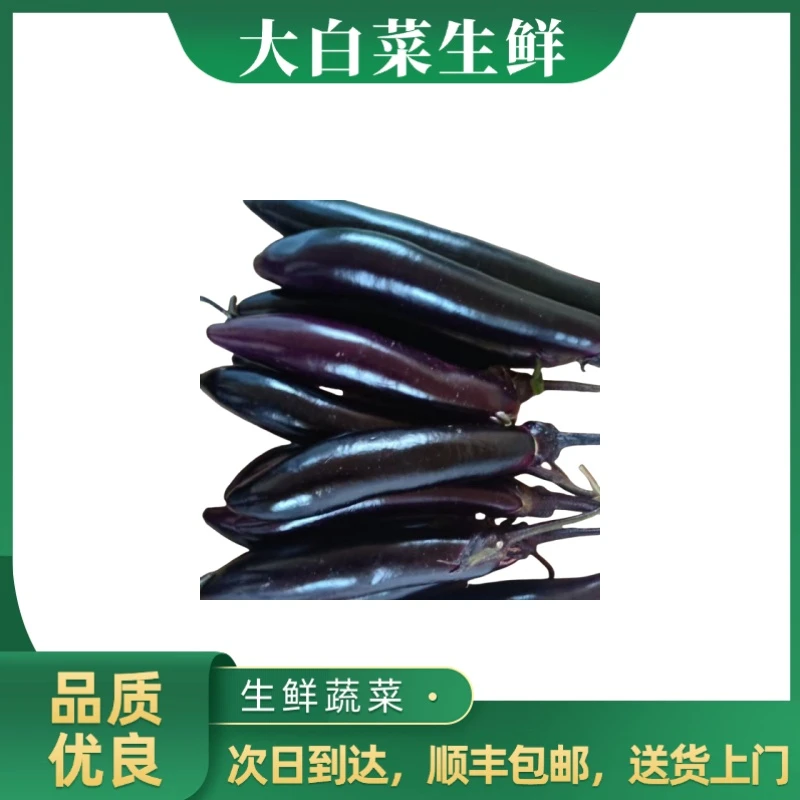 紫茄子 500g±20g
