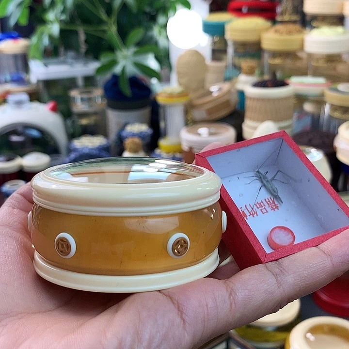 阿***康带紫竹一只啊啊啊啊啊