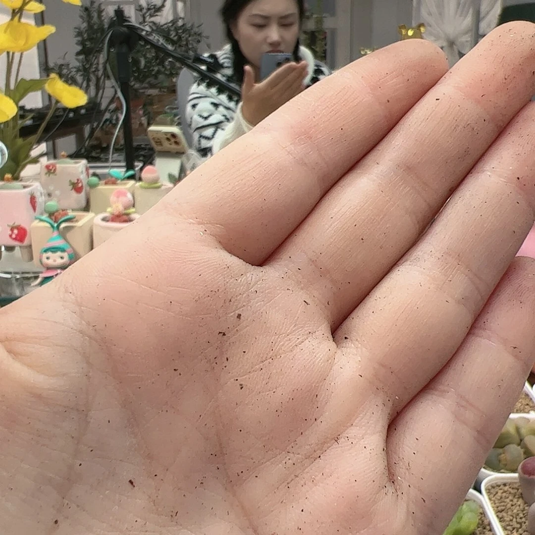 【闪购商品】文*213 减券