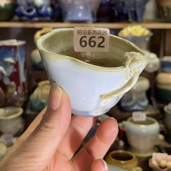 狼盆内口径7高度5