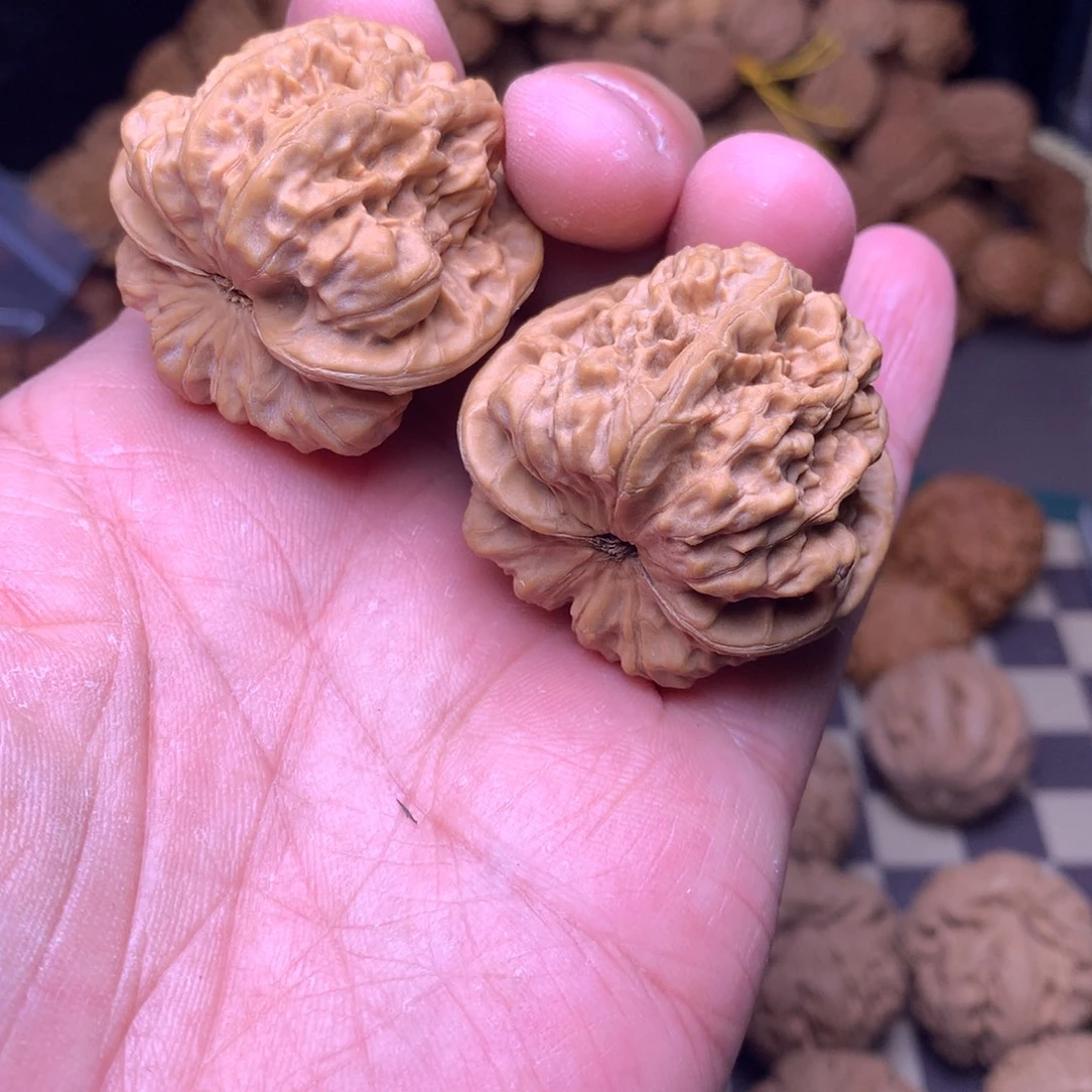 文玩核桃吊坠金蝉王40