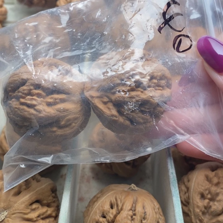 龙***哥文玩核桃吊坠霸王龙