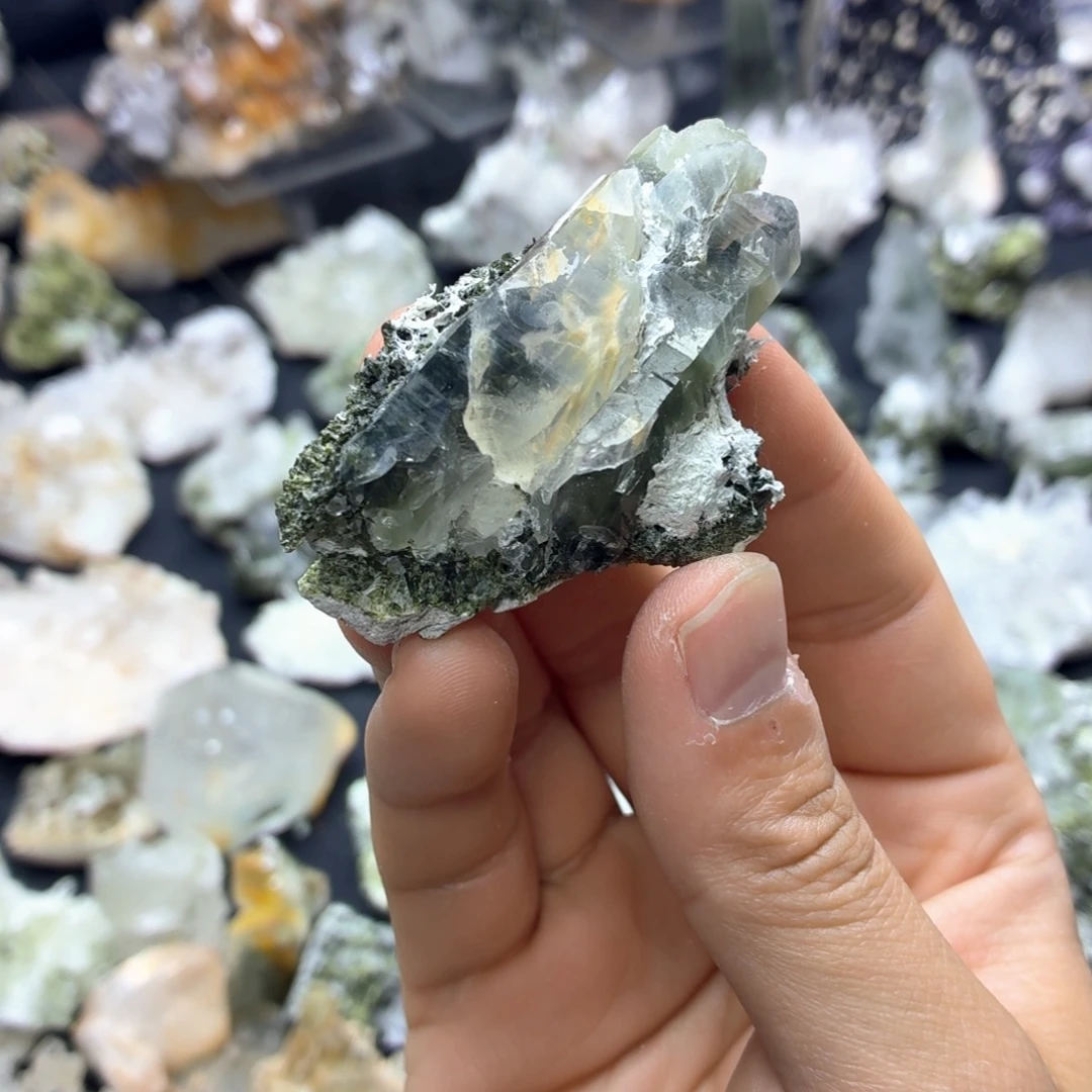 石材被兔毛温暖的花园