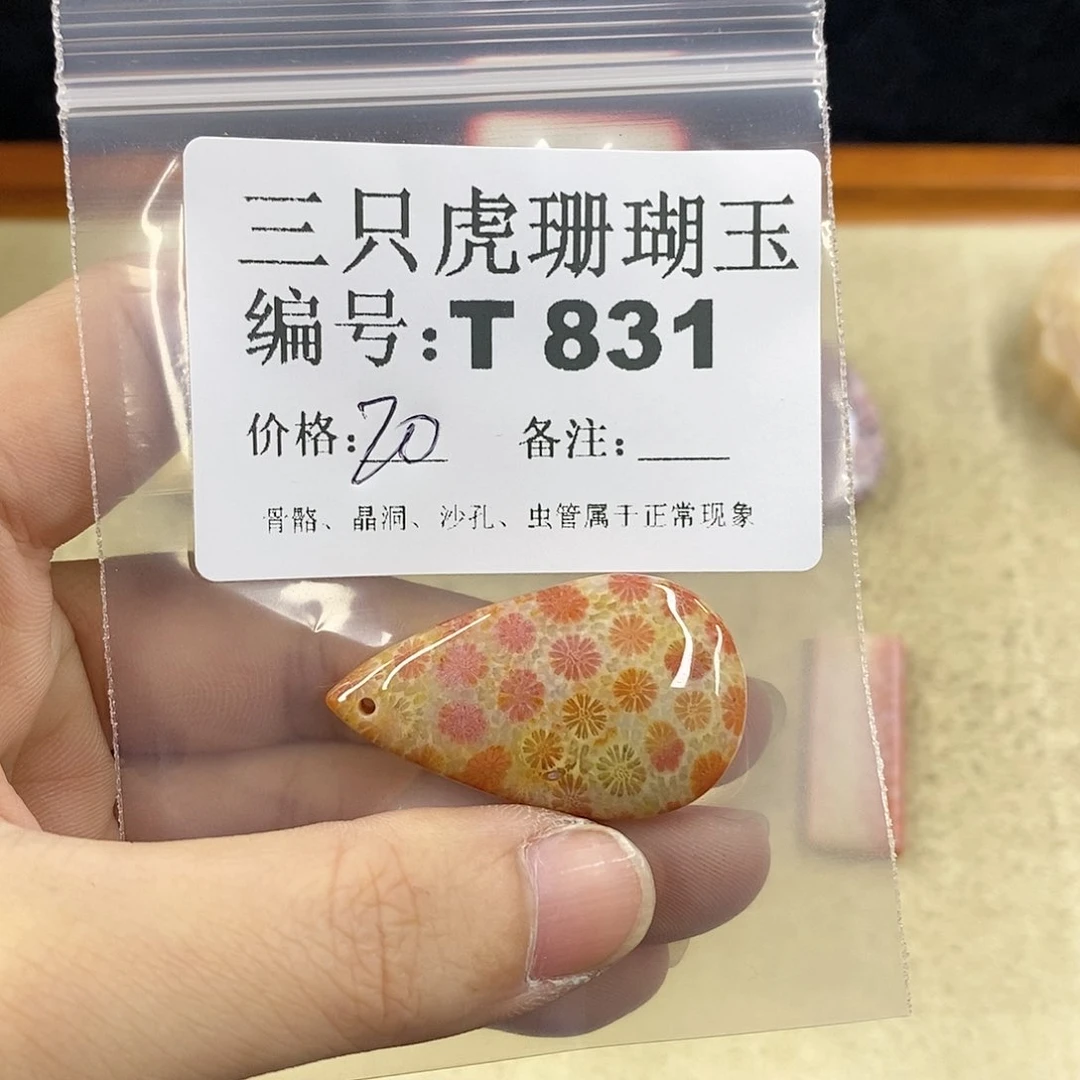 硅化珊瑚（珊瑚玉）1未镶嵌三***.