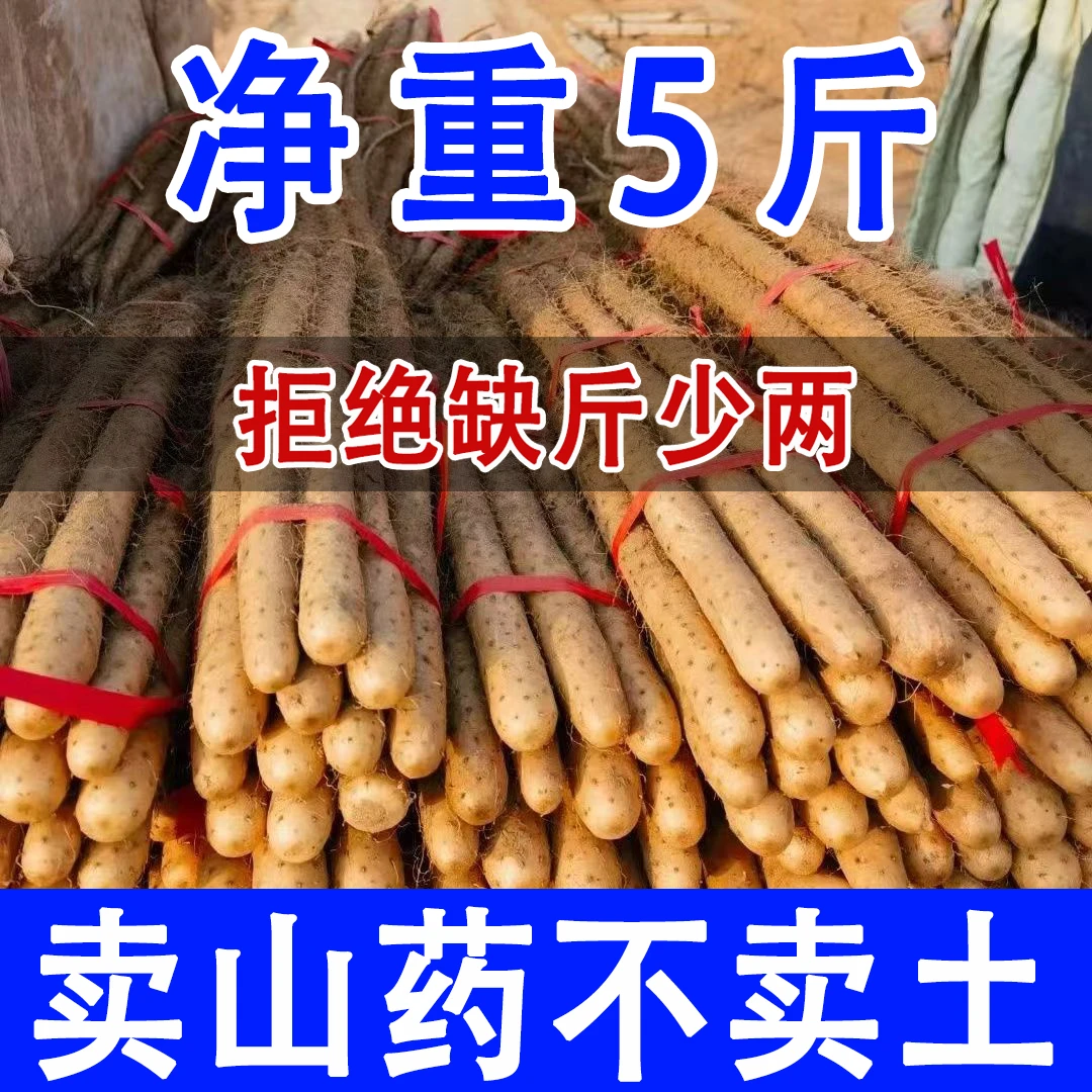 河南焦作温县垆土铁棍山药新鲜软糯香甜营养丰富食补健康蔬菜食材