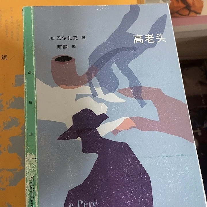 瑕疵  巴尔扎克  高老头