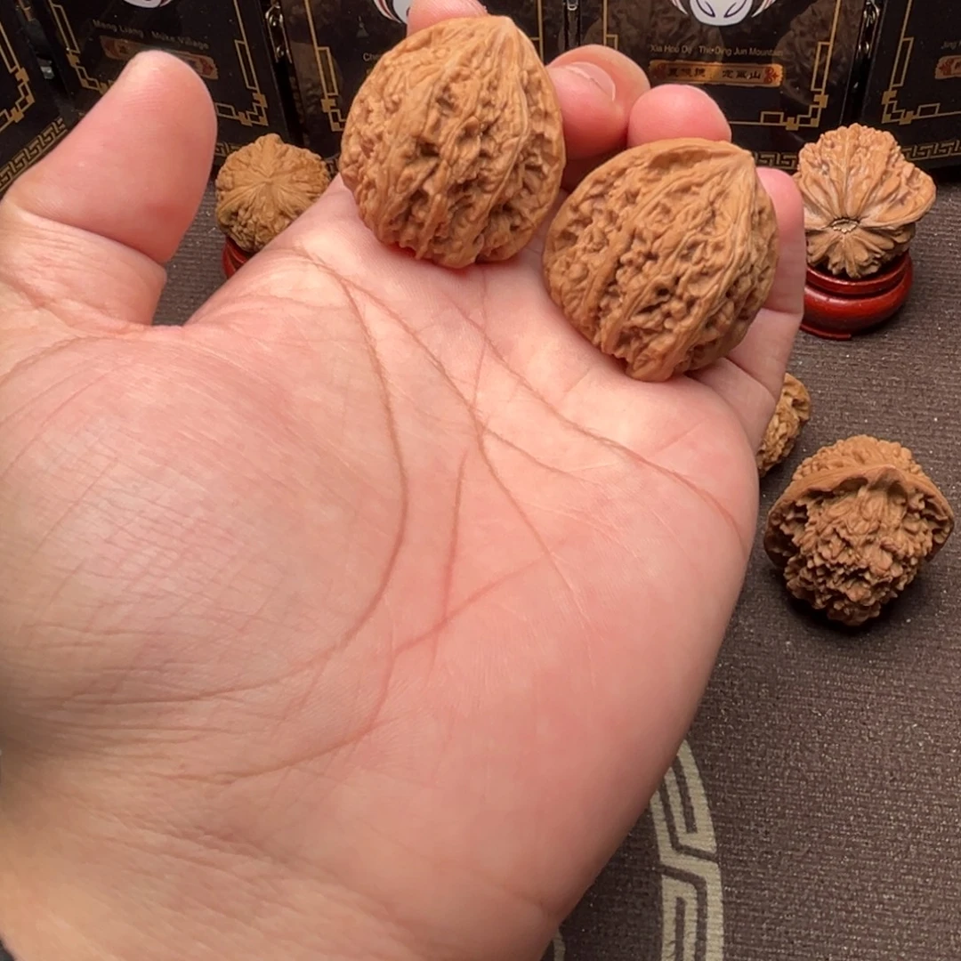 讲***见核桃秘闻111111111