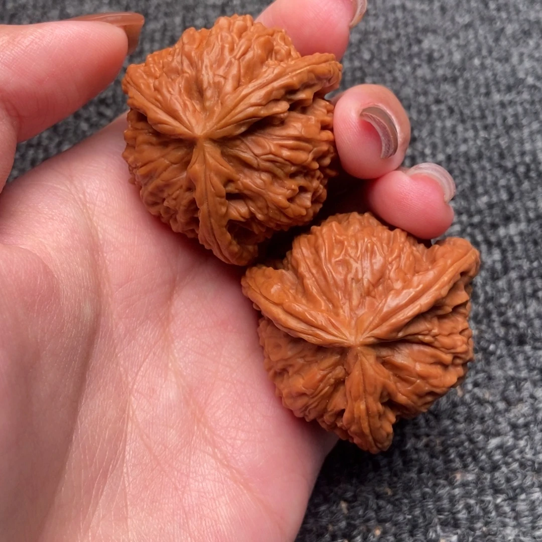 动****木质类白狮子正奔