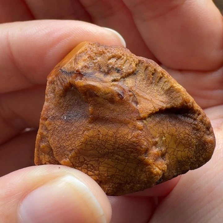 定制琥珀未镶嵌琥珀蜜蜡定制