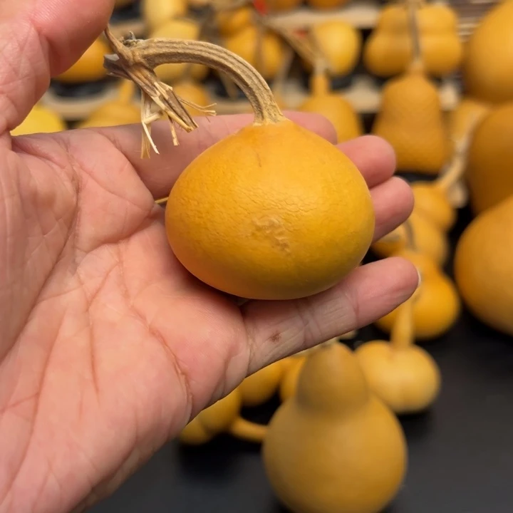 没***糕555888888999888888