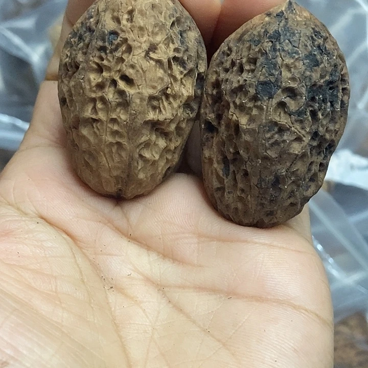 把件文玩核桃云南铁核桃基地23