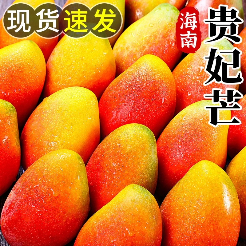 海南贵妃芒新鲜芒果水果当季红金龙辣椒甜心芒大果整箱