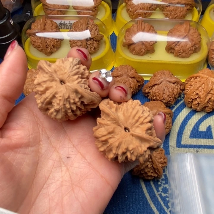 屋***哥桃核吊坠蛇头核桃