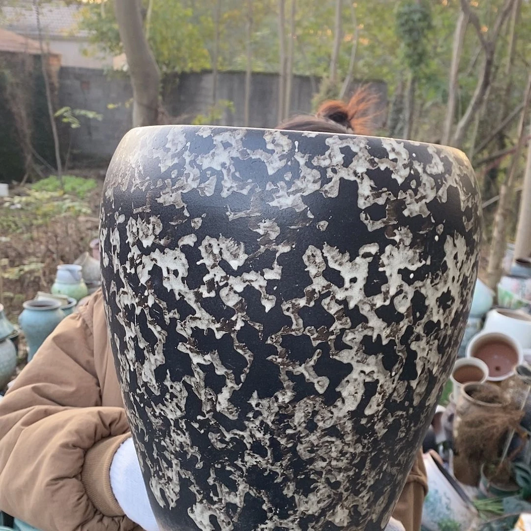 正品口径25/31）jgghh