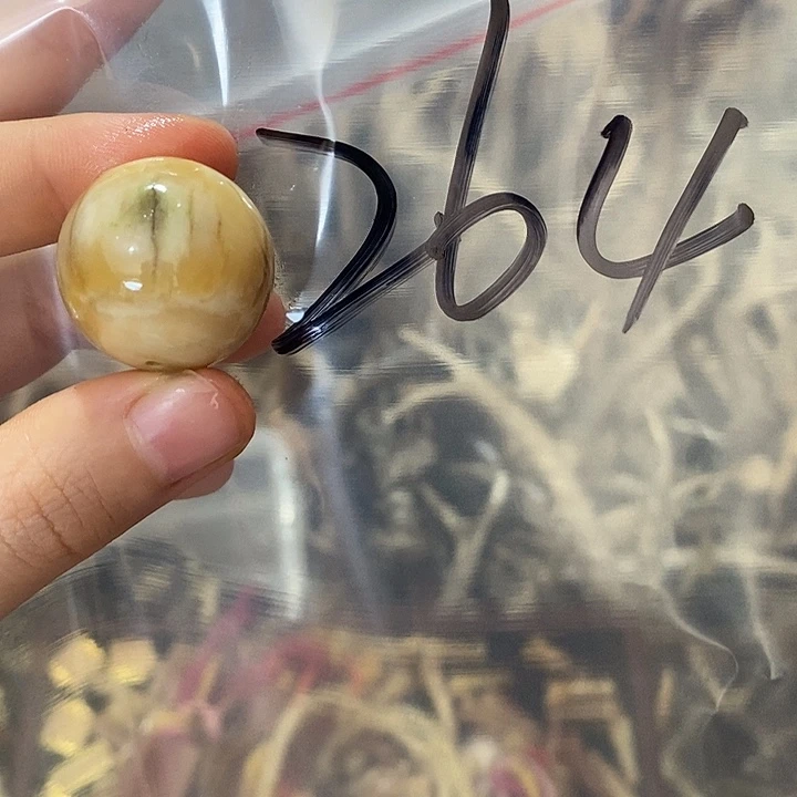 无非金属鹿角鹿角