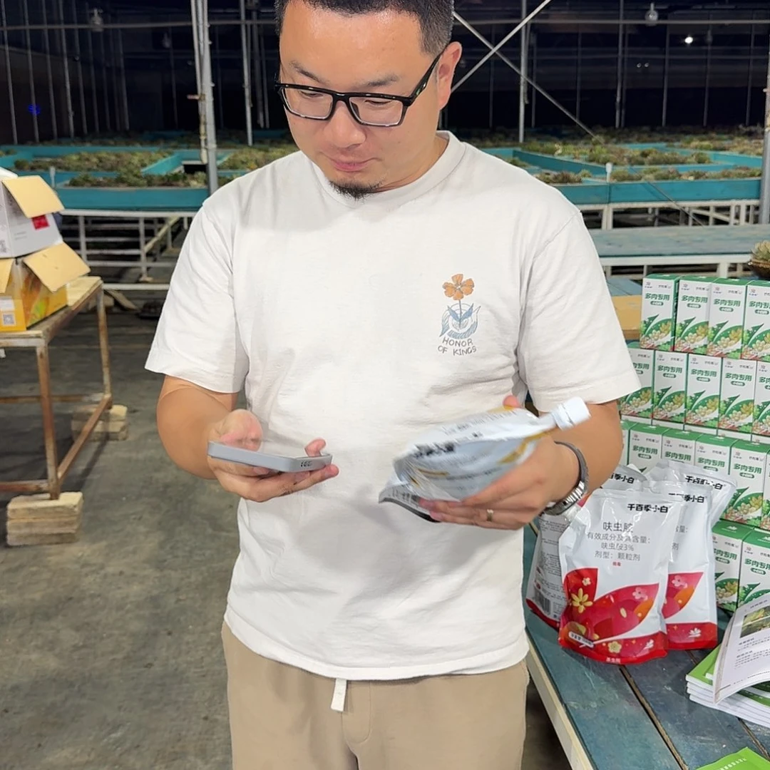 从前慢多肉编号大小黑