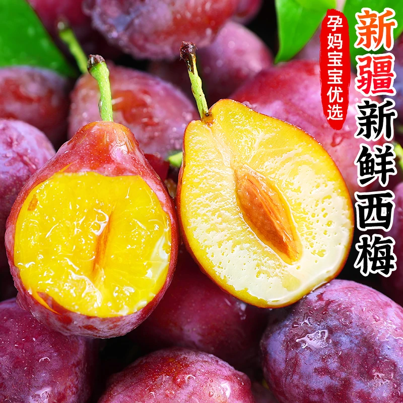【放软吃香甜】新疆西梅1-5斤蓝蜜女神法兰西李子甜西梅新鲜水果
