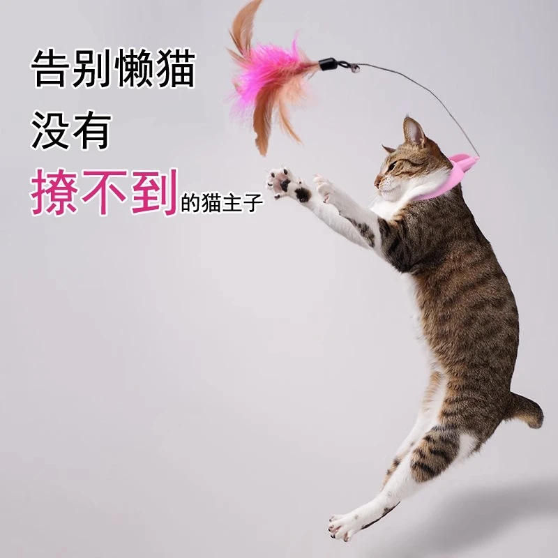 头戴式逗猫棒玩具猫咪自嗨解闷消耗体力专用自动羽毛项圈逗猫用品