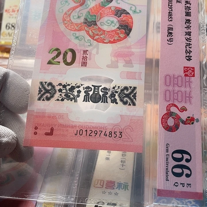 塑料012974853 蛇钞单张