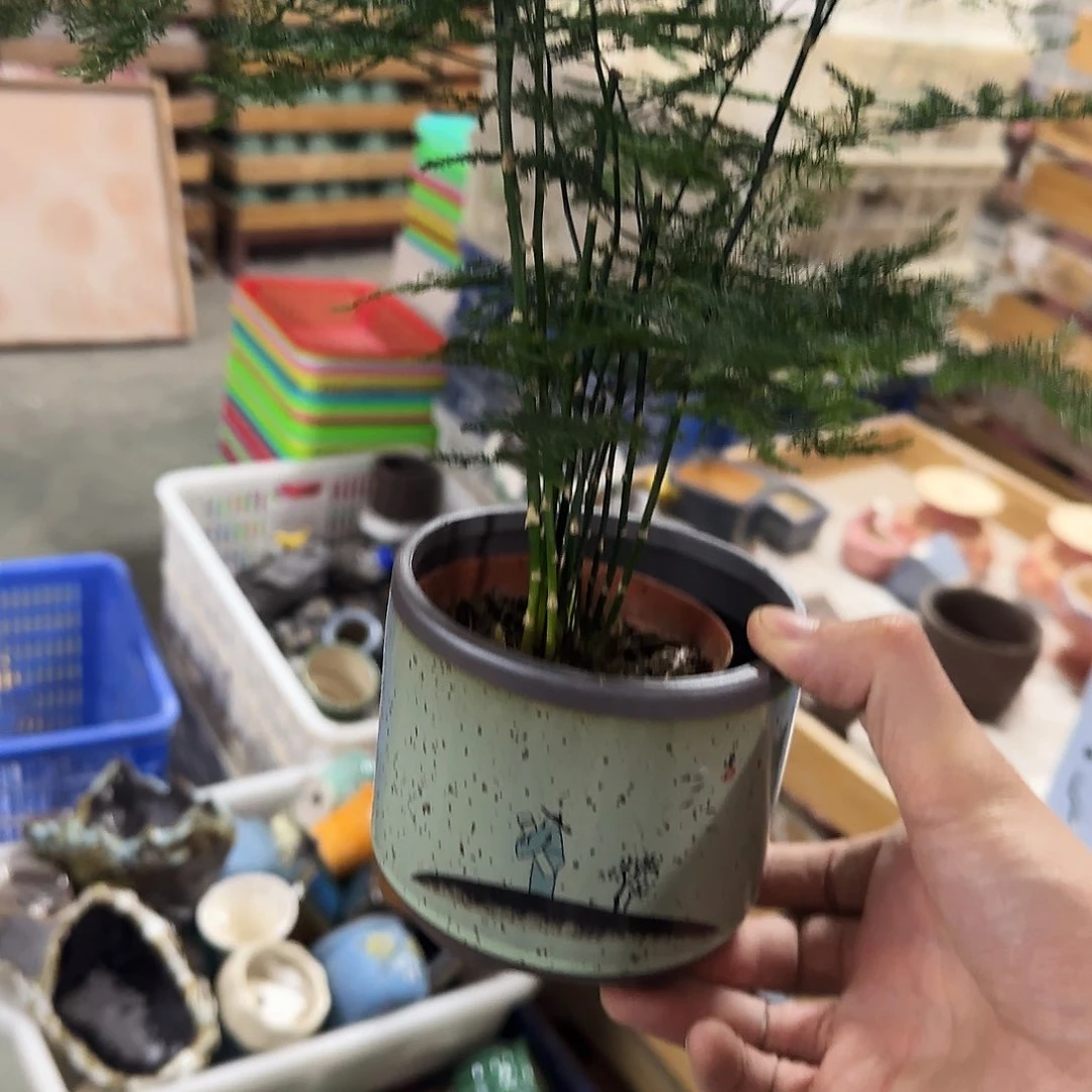 2件套福利局绿植多肉盆［凑9元包邮24小时发］