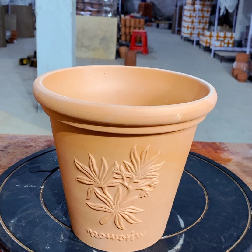 【闪购商品】香草20×19-1