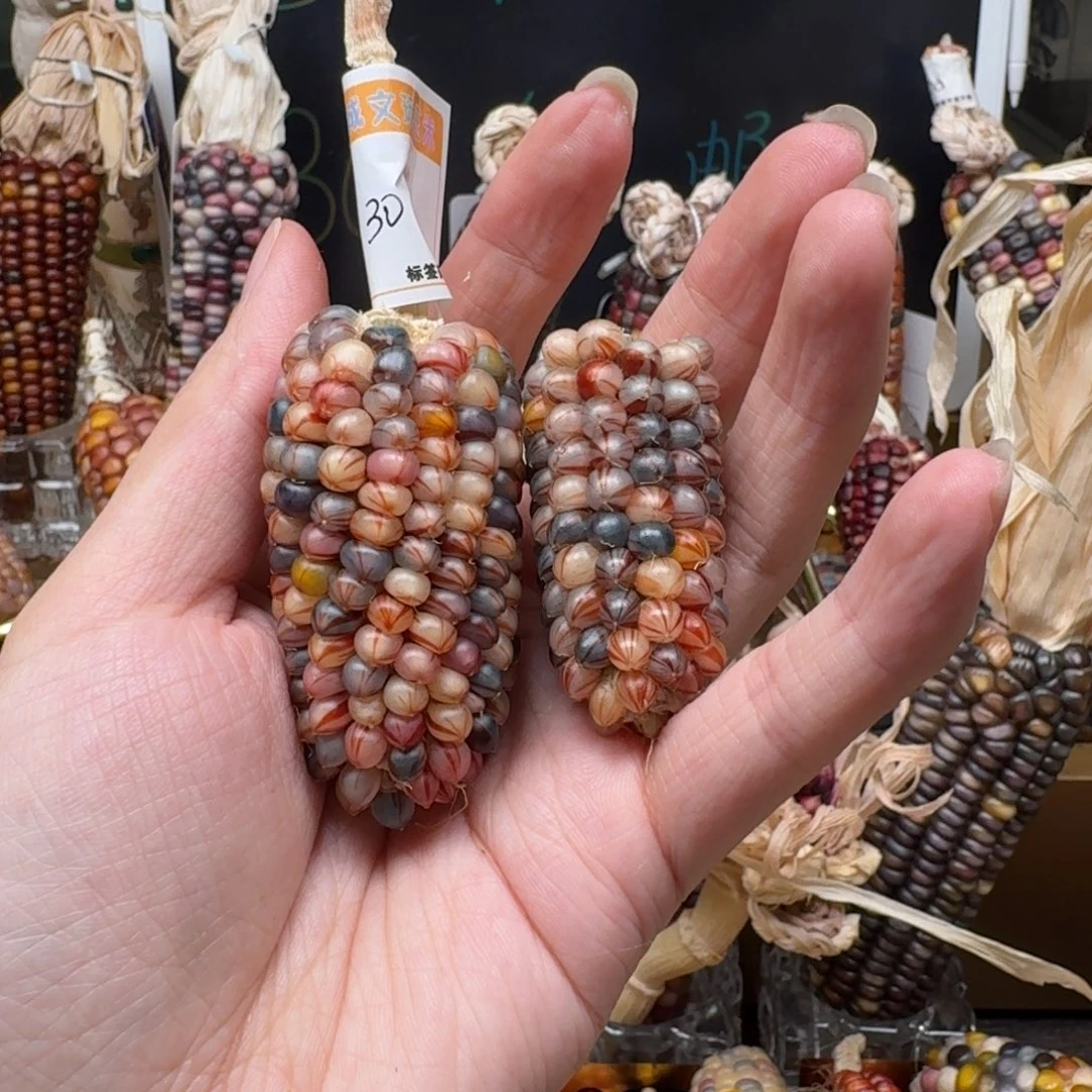 柏香籽/百香籽吊坠一****º