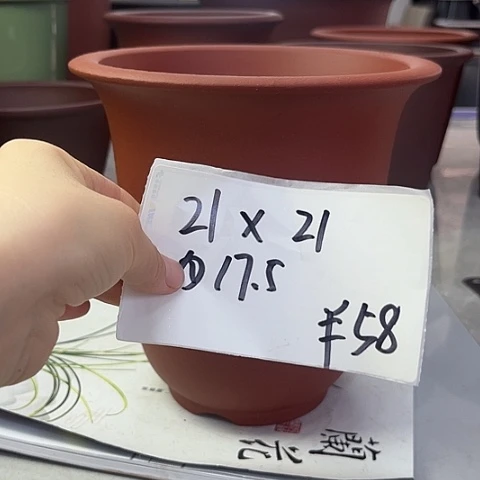 紫砂2858568585555555