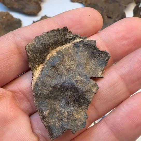 沉香摆件海南尖峰岭1.6克