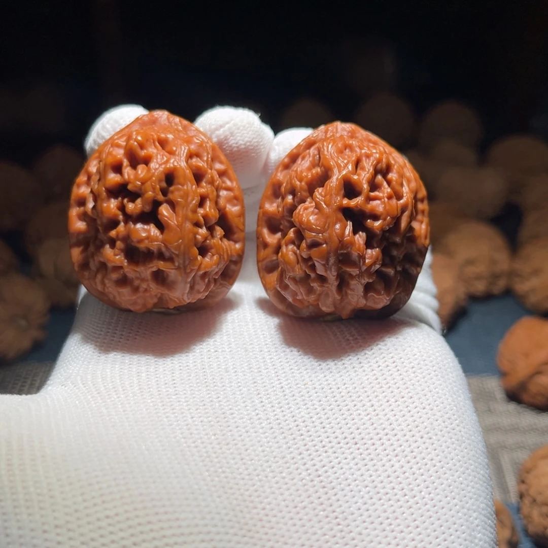 核桃37原生树红莲