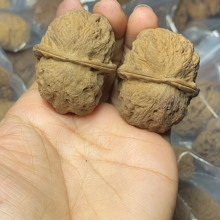 文玩核桃把件云南铁核桃69