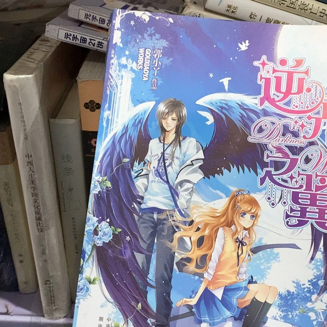 微瑕 逆光之翼 ……