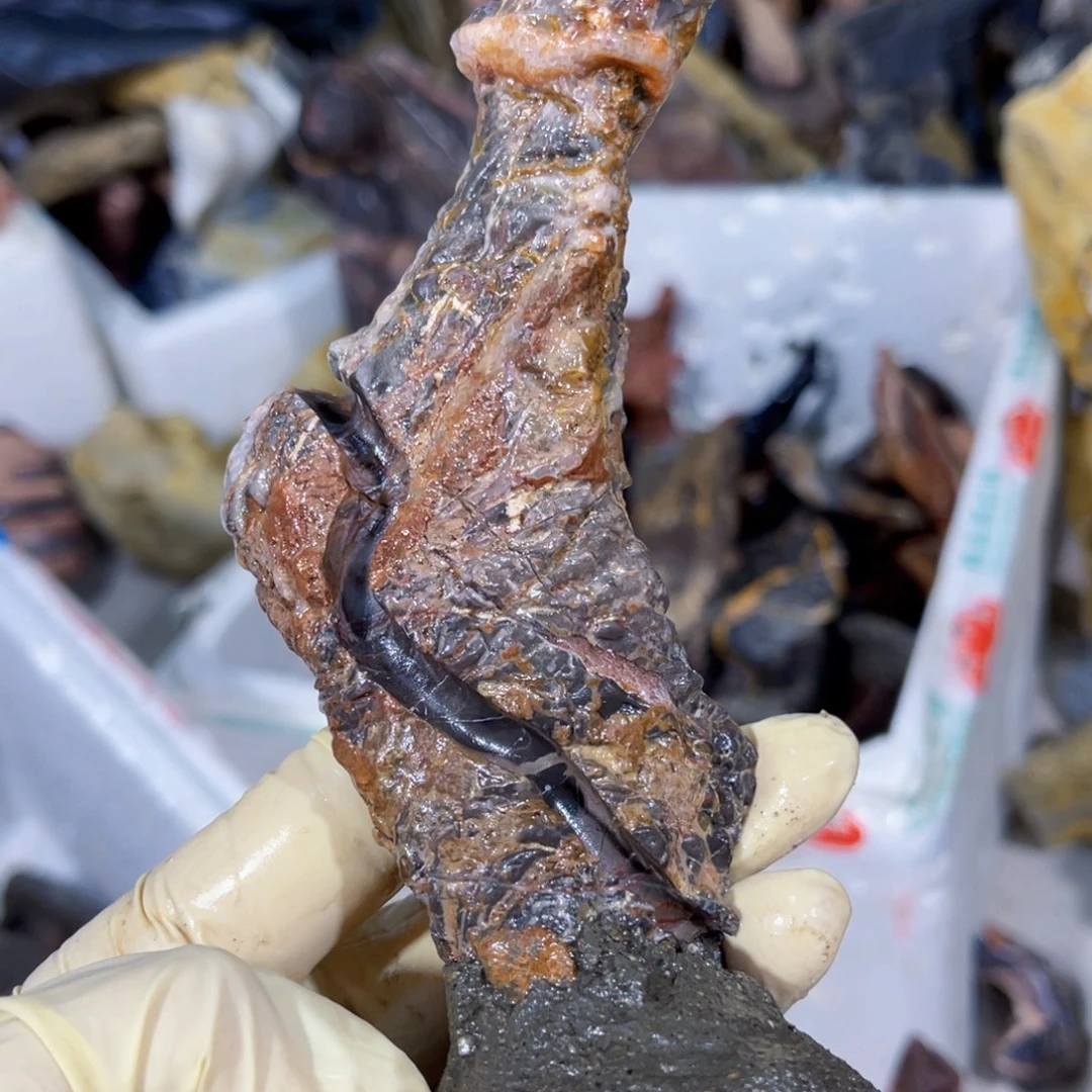 ?****?附石盆景一物一拍