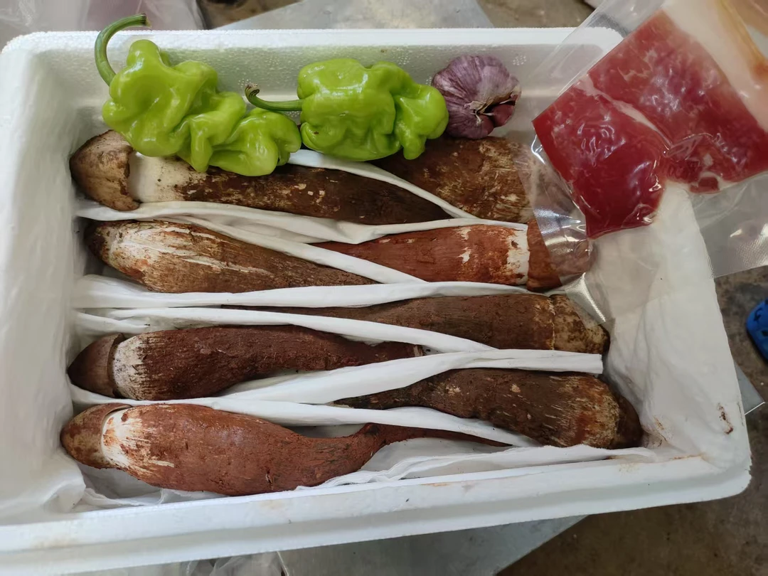 云南新鲜鸡枞菇鸡纵菌美味山珍特产（顺丰冷链空运包邮）