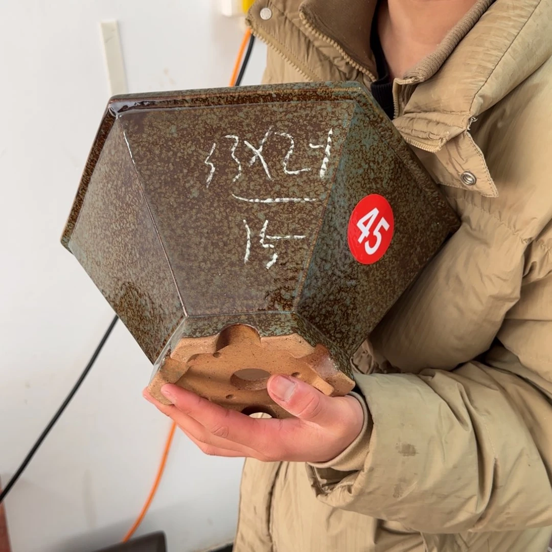 紫砂花盆呜呜呜呜
