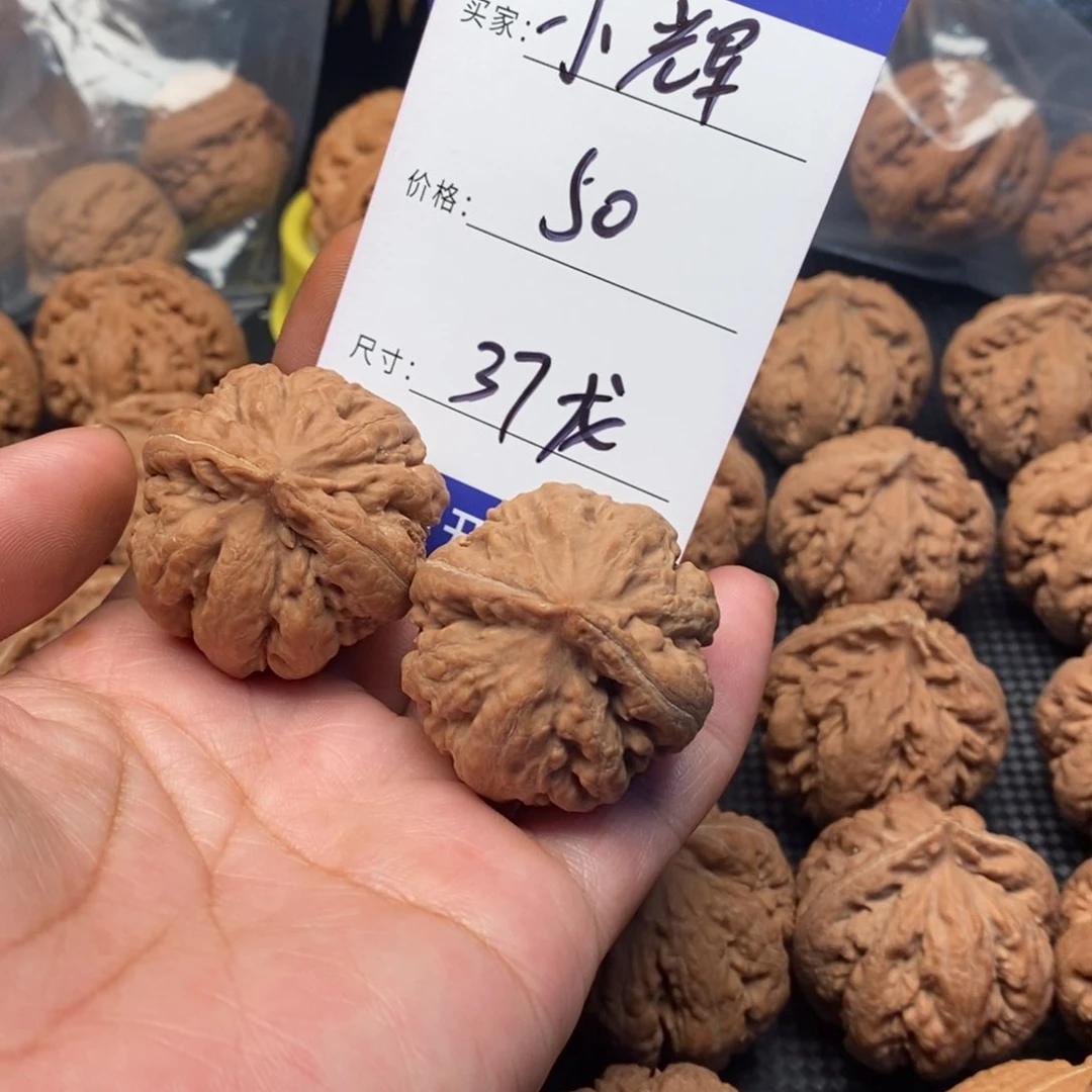 小*文玩核桃霸王龙37
