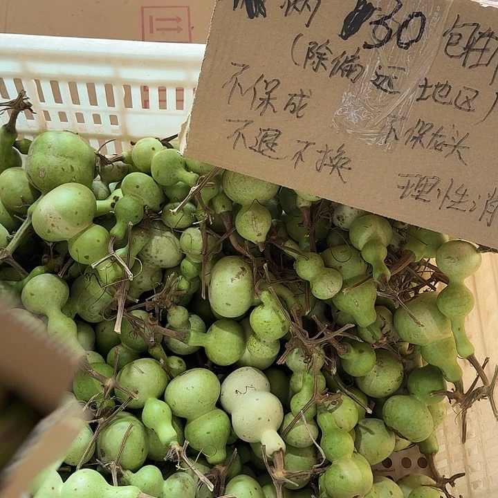 常***弟葫芦葫芦等各种图案都可在不同季节进行