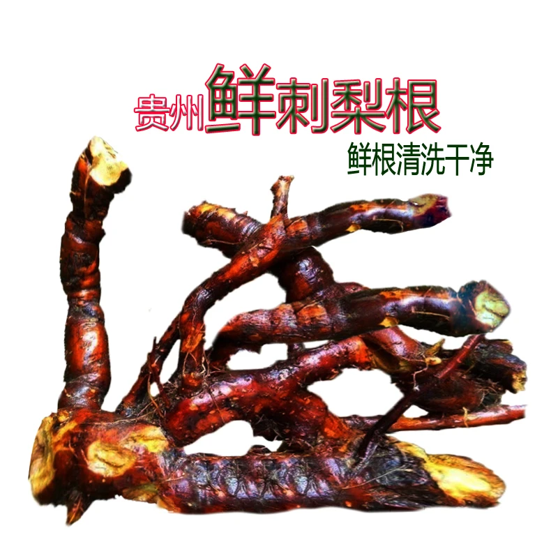 正品刺梨根当季新货深山道地野生茨梨根鲜根干根可选贵州刺梨根