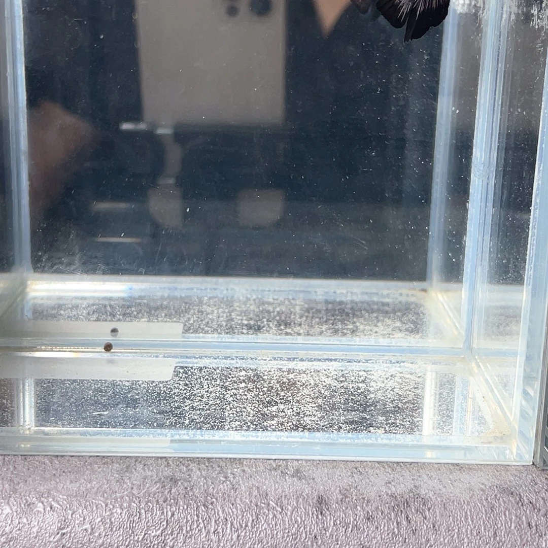 斗鱼不包邮首单补10运3