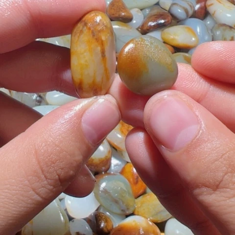 和田玉（糖玉）未镶嵌颈饰2-7