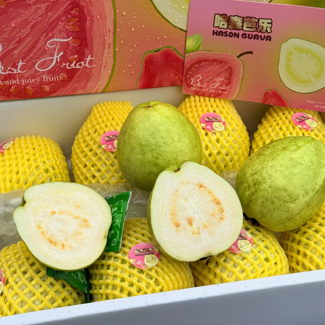 【中秋水果礼盒】哈森奶油芭乐白心芭乐番石榴毛重5斤多 郑州万邦发货云南省