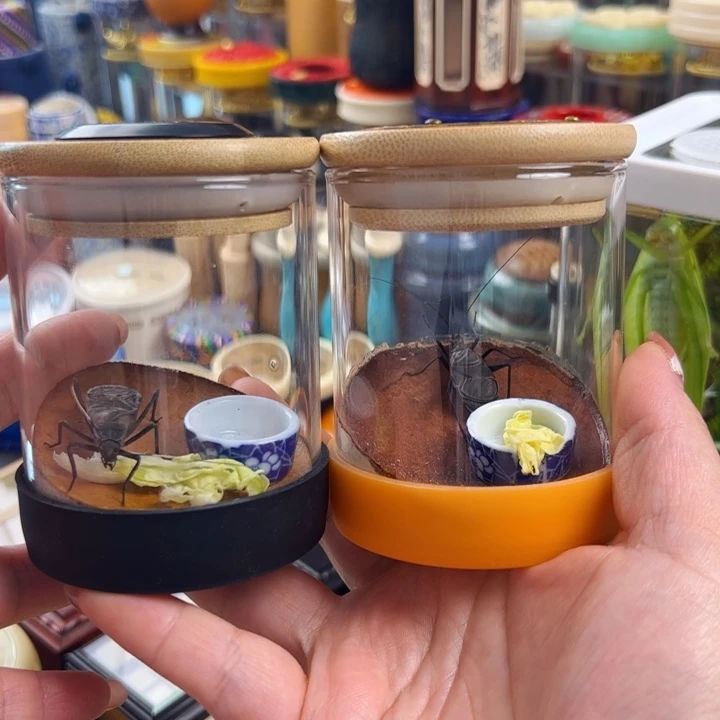 正***8哈哈哈哈哈各一套