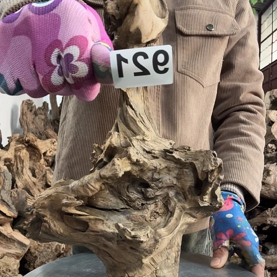 菩*花紫砂噜啦啦啦啦啦啦