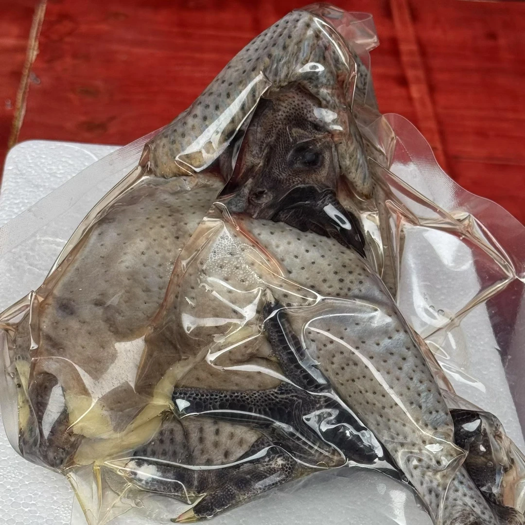 双旦福利提前购 云南本地盐津乌骨鸡 童子鸡 散养100天